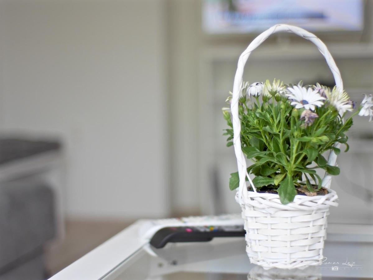 Emily Apartment Koszyce Zewnętrze zdjęcie